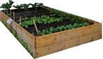 Cedar Raised Bed