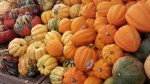 Squash at Whole Foods Market
